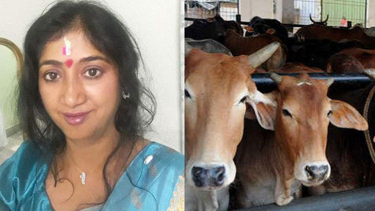 ചാണകവും ഗോമൂത്രവും വഴി കൊറോണ വൈറസിനെ തുരത്താമെന്ന്​ ബി.ജെ.പി എം.എൽ.എ